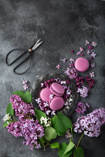 Blackberry macarons on vintage plate, lilac flowers and scissors — Stock Photo, Image