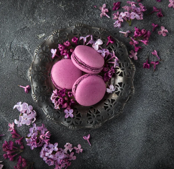 Macarons BlackBerry na vinobraní desku a fialovými květy nad šedá — Stock fotografie