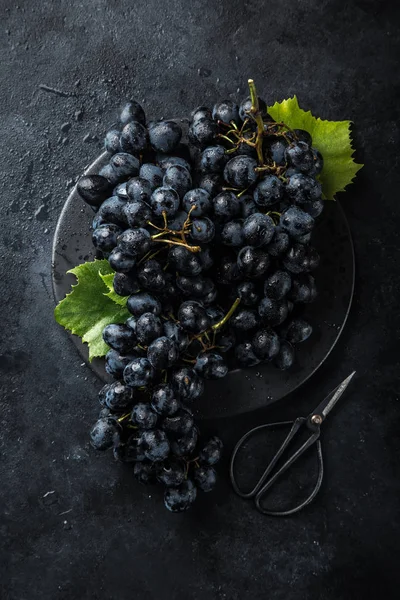 Стиглий чорний виноград на темному бетонному фоні — стокове фото