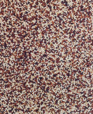 Pişmemiş quinoa tohumları