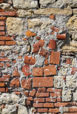 Grunge beton duvar 
