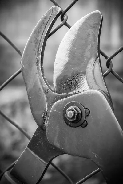 Clipper drát na plot — Stock fotografie