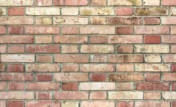 Vintage brick wall — Stock Photo, Image