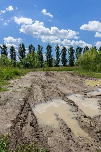 Muddy land with trees in background and blue sky with white clouds.