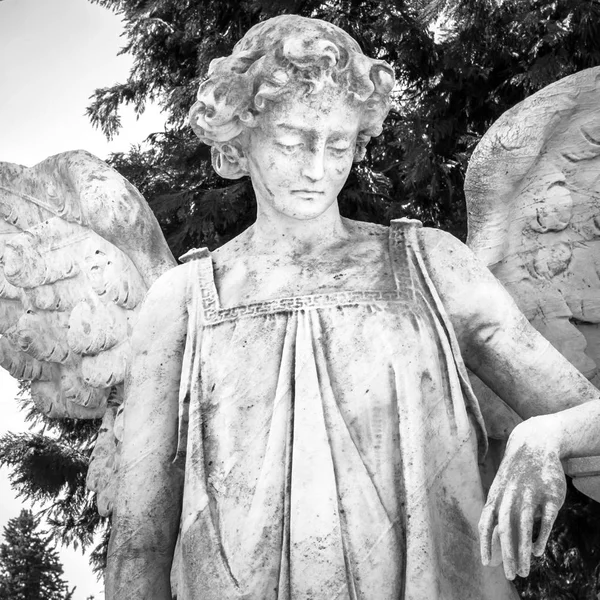 Immagine vintage di un angelo triste su un cimitero come simbolo di amore, gentilezza e sofferenza — Foto Stock