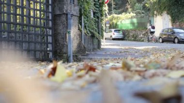 Sokakta sonbahar yaprakları