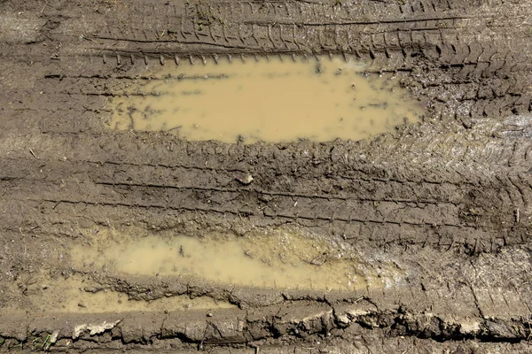 泥浆的纹理。湿的污垢。水坑. — 图库照片