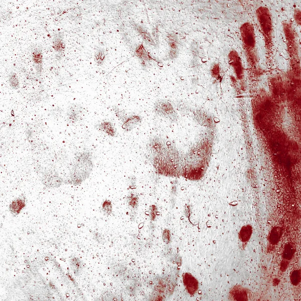 Bloody Handprints — Stock Photo © ponytail1414 #1829818