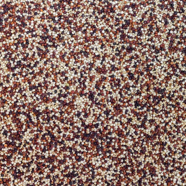 Quinoa nasiona zbliżenie tła i tekstury — Zdjęcie stockowe