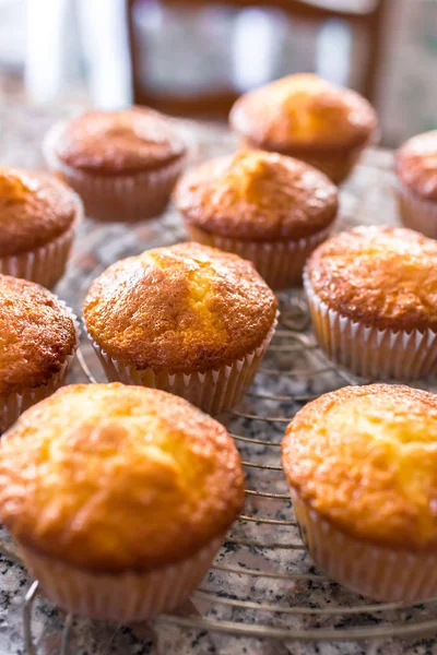 Lot de muffins maison fraîchement cuits — Photo