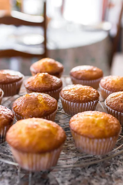 Parti av hemmagjord nybakade cupcakes eller muffins — Stockfoto
