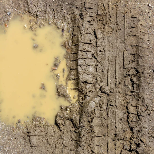 Charco de barro en la primavera — Foto de Stock