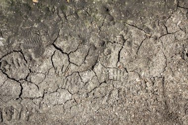 Kuru çamurlu arka plan