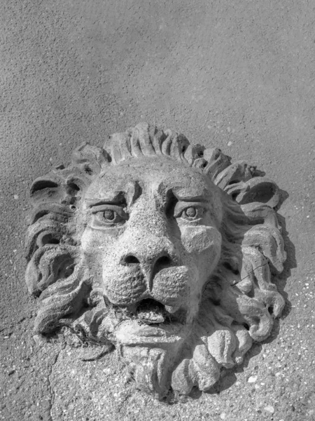 Lion i Venedig — Stockfoto