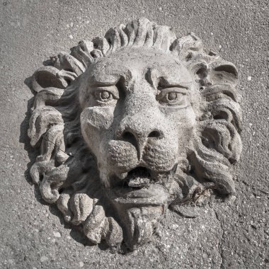 Aslan Venedik