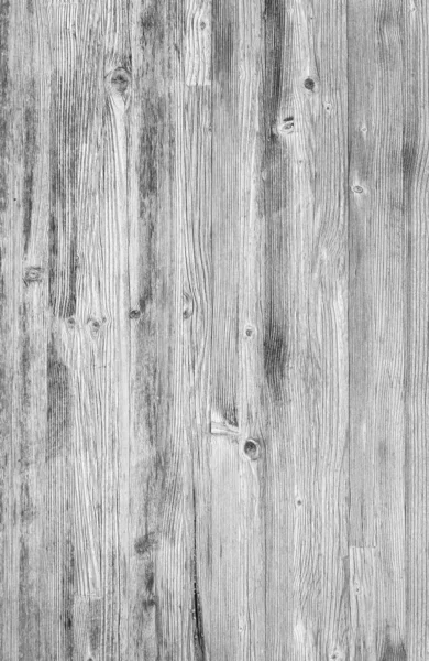 Монохромный Деревянный Фон Крупным Планом Текстура Белого Дерева Картинка Высоким — стоковое фото