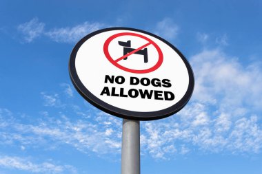 Gökyüzü arkaplanına köpek giremez