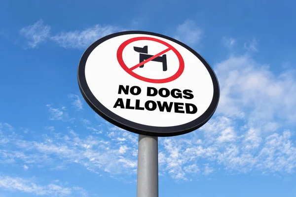 Geen Honden Toegestaan Teken Lucht Achtergrond — Stockfoto