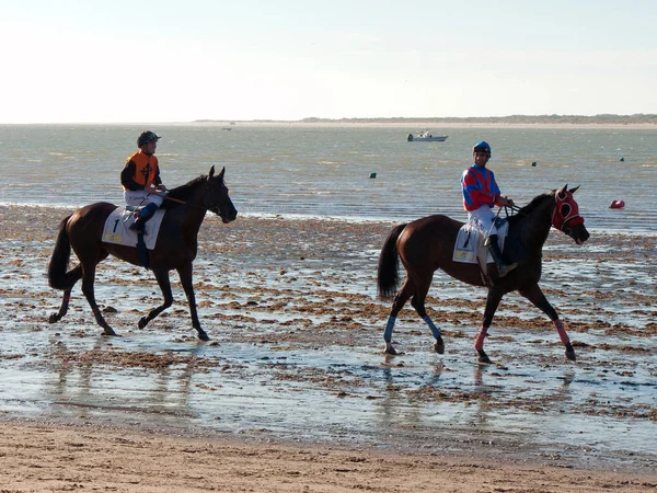 Course de chevaux à Sanlucar de Barrameda — Photo