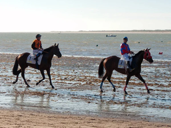 Corse di cavalli in Sanlucar de Barrameda — Foto Stock