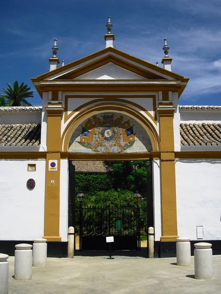 Façade du Palais de las Duenas — Photo