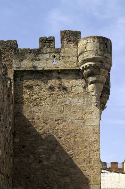 Yeni kule ya da Caceres minber