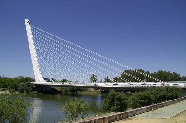 Alamillo Bridge in Seville — Stock Photo, Image