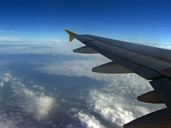 Ala en vuelo —  Fotos de Stock