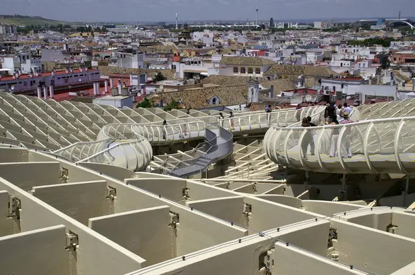 Seville mantar. (Kare vücut bulma) — Stok fotoğraf