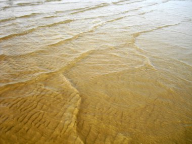 küçük dalgalar kumsalda