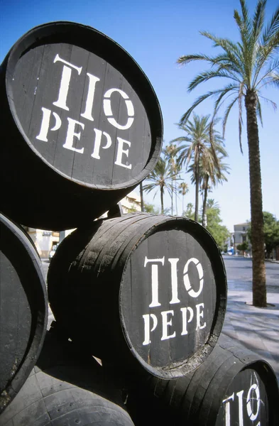 Dekoratif Şarap fıçıları