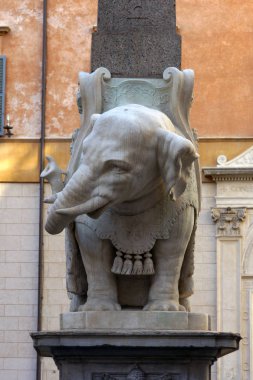 Bernini 'nin Roma' daki fili