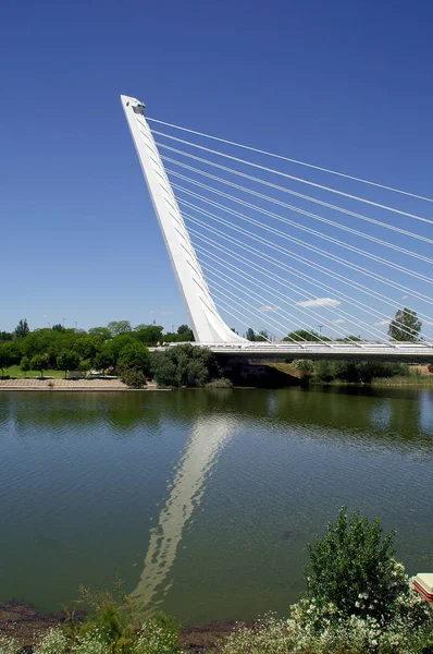 Sevilla Spain Puente Del Alamillo Architect Santiago Calatrava City Seville — Stock Photo, Image
