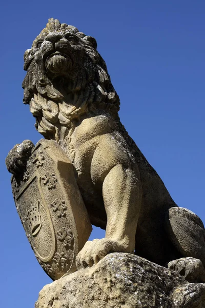 Ubeda Jaen Spain Stone Lion Vazquez Molina Square Town Ubeda — Stock Photo, Image