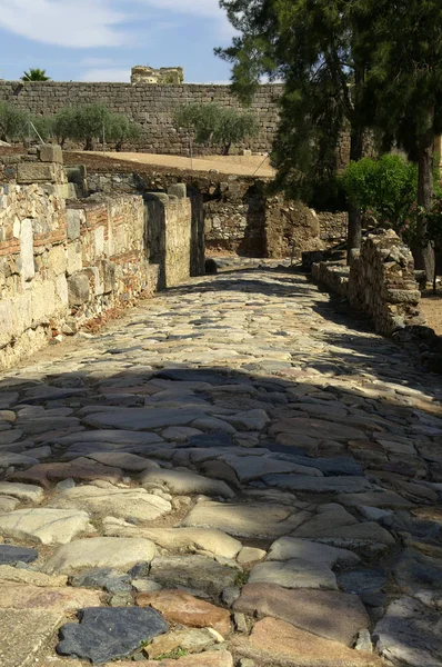 Μέριδα Ισπανία Ρωμαϊκός Δρόμος Στο Εσωτερικό Της Ακρόπολης Αραβικά Της — Φωτογραφία Αρχείου