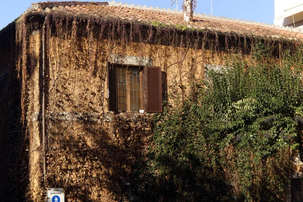 Rom Italien Fenster Trastevere Viertel Von Rom — Stockfoto