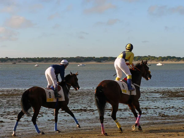 Sanlucar Barrameda Cadice Spagna Horse Racing Sanlucar Barrameda Bajo Guia — Foto Stock