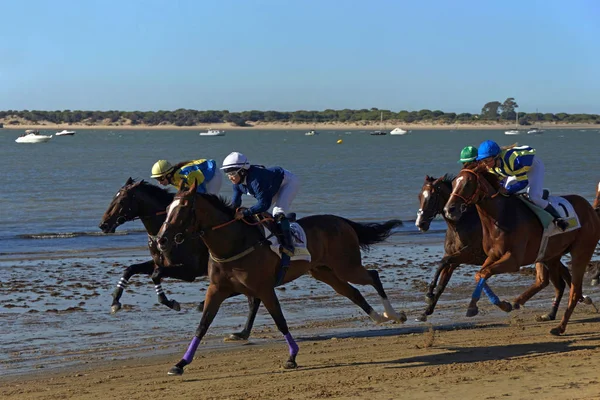 Sanlucar Barrameda Cadiz Spanien Pferderennen Der Bajo Gua Strandstadt Sanlucar Stockbild