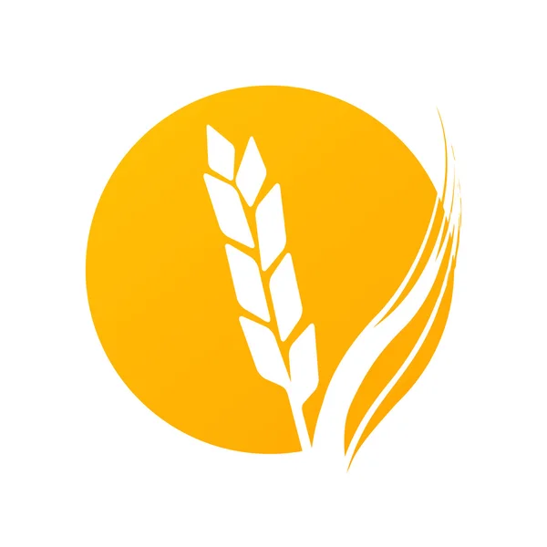Złote logo okrągłe formy — Wektor stockowy