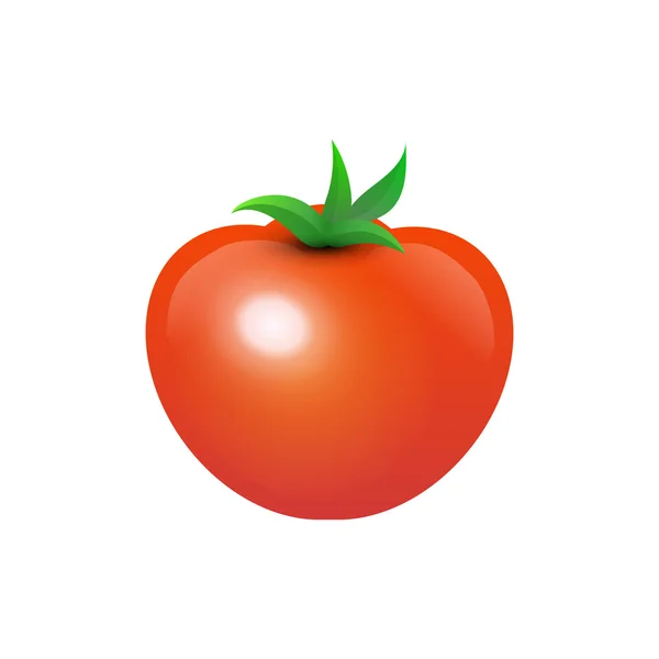 Tasty Juicy Tomato — Stock Vector