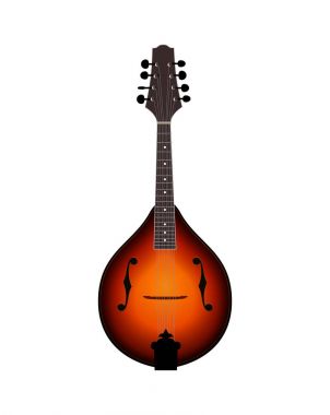 Mandolinin vektör illüstrasyonu
