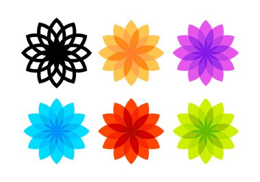 Beyaz arkaplanda izole edilmiş renkli çiçekler