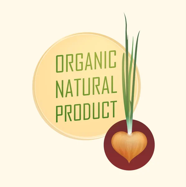 Organic Natural Product — Stock Vector