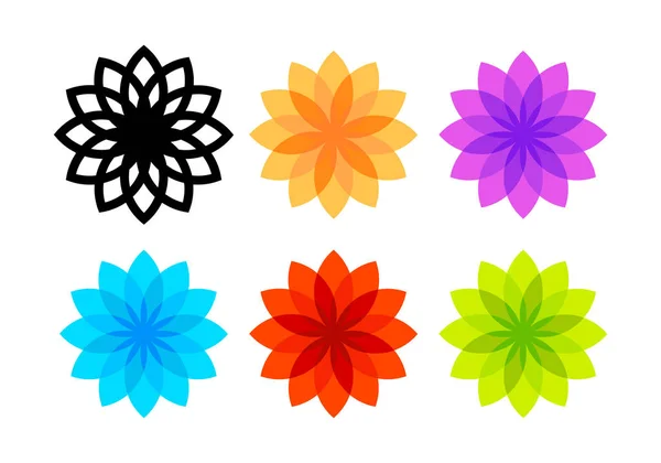 Flores coloridas aisladas sobre fondo blanco — Vector de stock