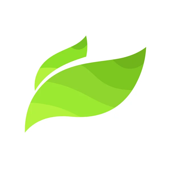 Hoja verde sobre fondo blanco, ilustración vectorial - Emblema del Día Mundial del Medio Ambiente — Archivo Imágenes Vectoriales