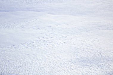 Güneşli bir günde kar dokusu. Nötr katı beyaz arkaplan.