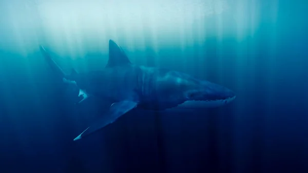 Great white Shark in ocean, Underwater 3D render wallpaper with a Predator Animal, Rays and Glares of the Sun.