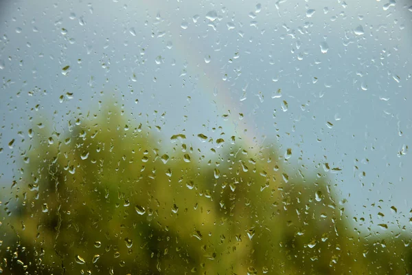 Blick auf Wald und Regenbogen durch Fenster mit Tropfen — Stockfoto