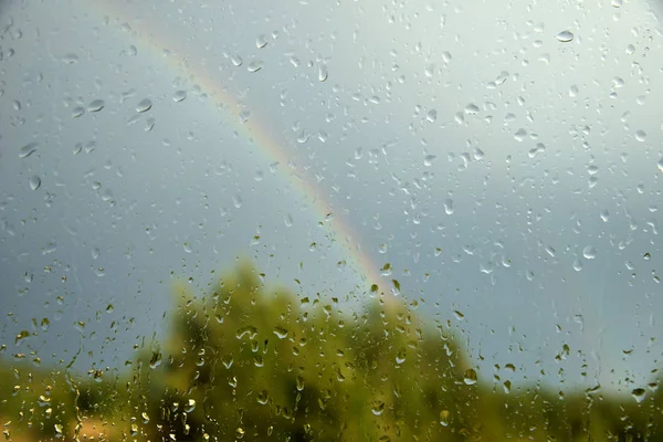 Blick auf Wald und Regenbogen durch Fenster mit Tropfen — Stockfoto