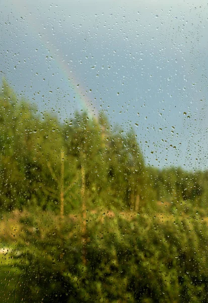 Blick auf Wald und Regenbogen durch Fenster mit Tropfen — Stockfoto